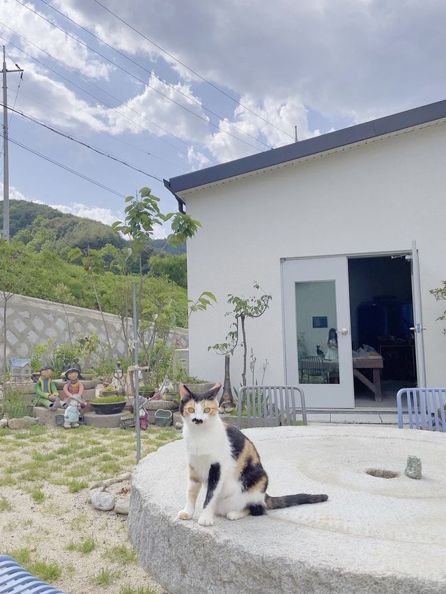 산속에 위치한 독채펜션 예사랑 도자기공예도 했어요🌱💚