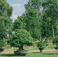 Bonsai Village Suanphung สวนผึ้ง บอนไซ วิลเลจสวนผึ้ง ราช