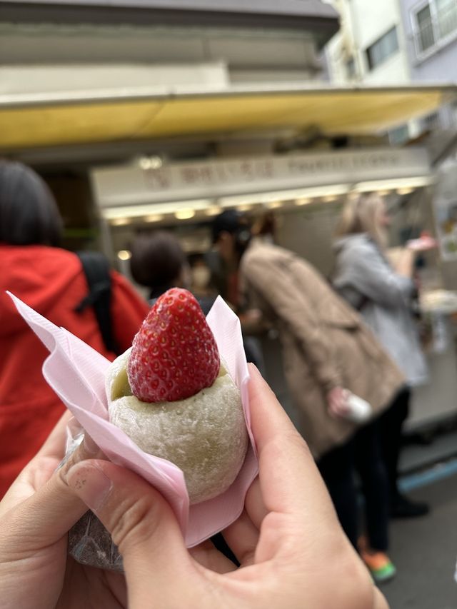 Fresh Seafood at Tsukiji Fish Market