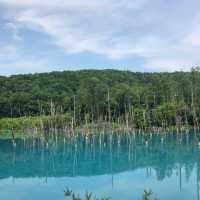 Beautiful Blue Pond & Blue Waterfall In Biei 💦