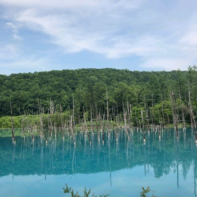 Beautiful Blue Pond & Blue Waterfall In Biei 💦