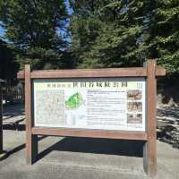 世田谷城址公園
