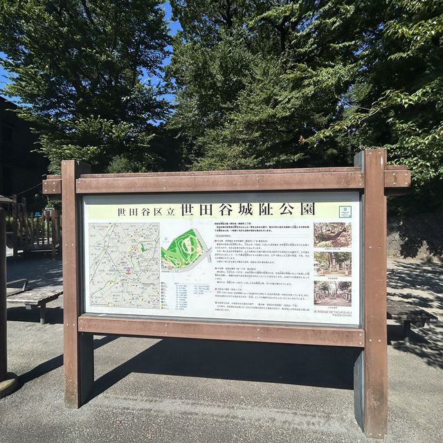世田谷城址公園 世田谷城址公園