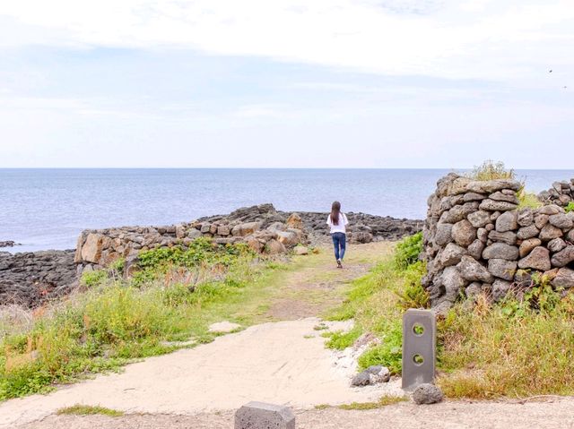 너무나도 예쁜 에메랄드 해변, 우도 산호해수욕장