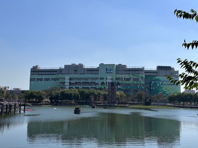 🌿 台中星泉湖：綠意盎然，柳樹倒影如畫！🏞️🌟
