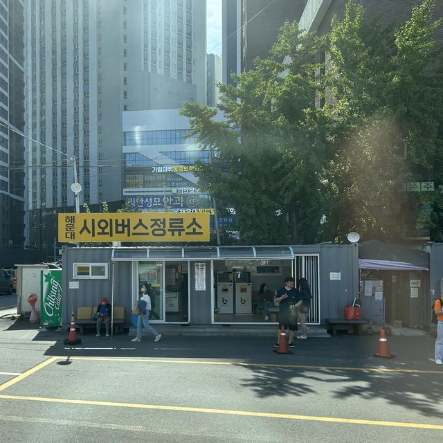 해운대 시외버스정류소, 부산 근교여행을 계획한다면 주목!