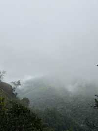 อุทยานแห่งชาติภูสอยดาว | Phu soi dao National Park