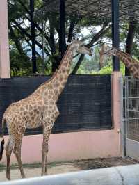 คาเมล รีพับบลิค Camel Republic ที่เที่ยวชะอำ