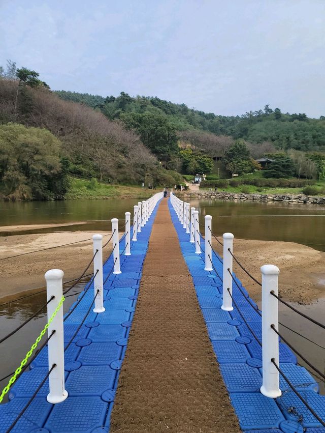 가을산책하기 좋은 진천여행지 추천🍂