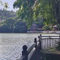 🌸🏯 感受皇家魅力～圓明新園🌼🌳