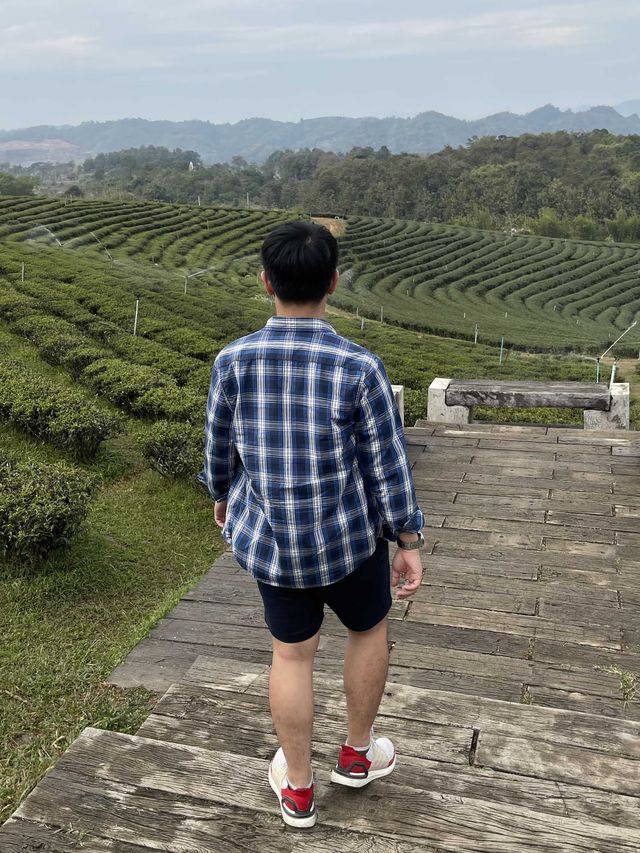 คาเฟ่วิวหลักล้านในไร่ชาฉุยฟง🍵🌱