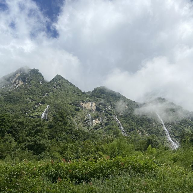 Hike Through Gandaki Forest: Nature’s Wonder 