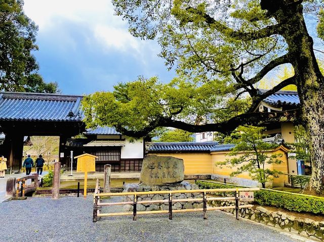 Kinkakuji Temple 