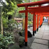 パワースポットの来宮神社