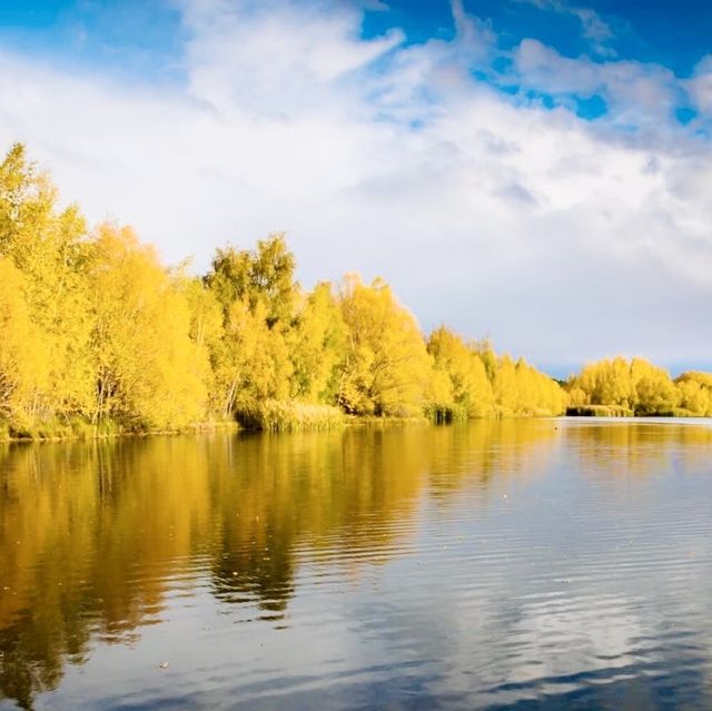 Fall in Twizel and the Mackenzie 