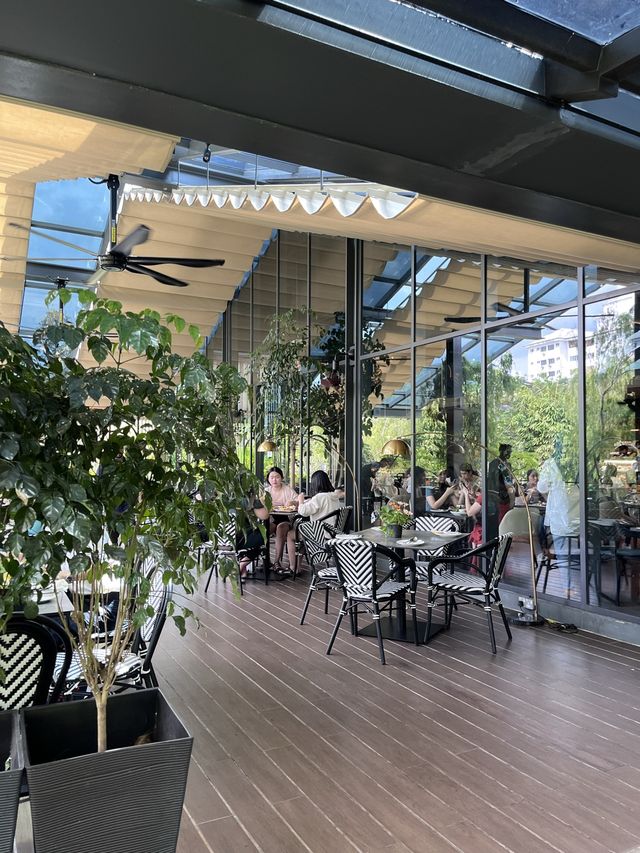Cafe hunting for tea time 🫖 Locarasa ✨