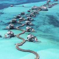2023 Best Trip