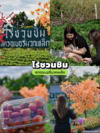 ไปกางเต็นท์ที่สระบุรีกัน | 3วัน 2คืน 