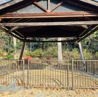 参道の途中にある公園 - 氷川の杜公園 -