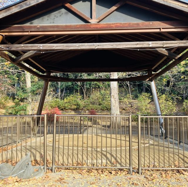 参道の途中にある公園 - 氷川の杜公園 -
