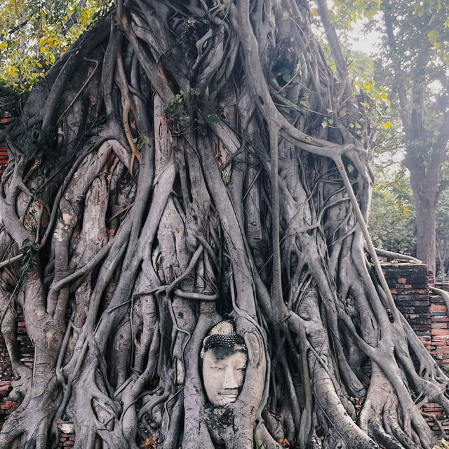 🇹🇭タイのアユタヤ🇹🇭