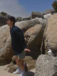Boulders Beach : Simon's Town หาดแพนกวิ้น
