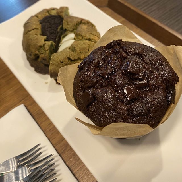 강원도 정선 🤍 숲 속에 카페 💚 아우로라 카페 🌿