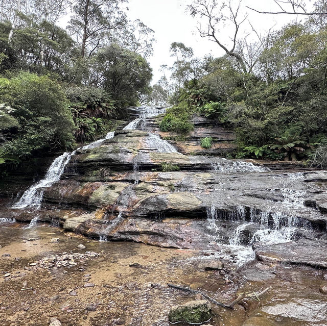 Blue Mountain National Park in Sydney