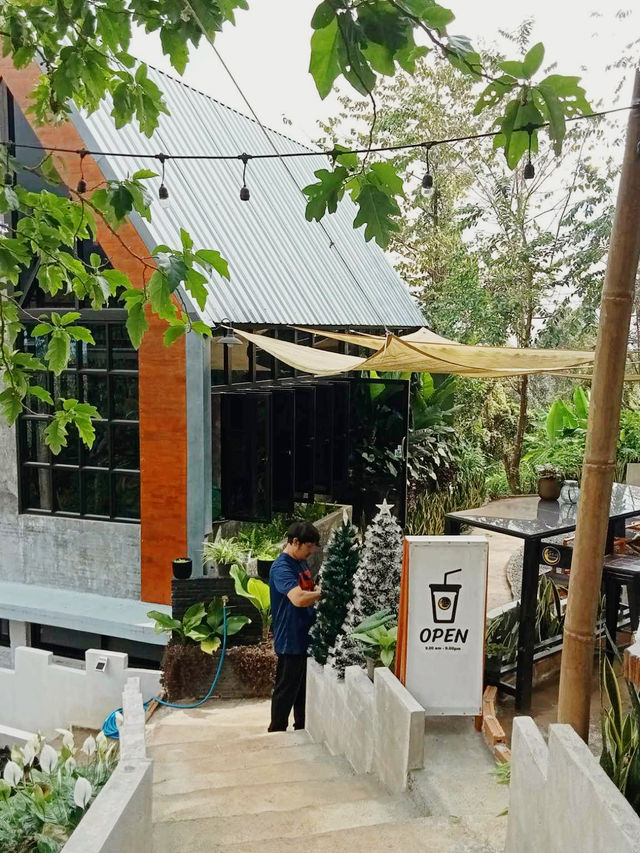 หลงดอย ⛰️☕️🌳🥓