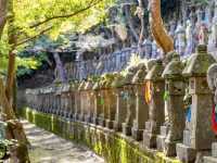 Serenity amongst the 500 Buddhas