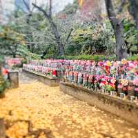 東京タワー近くの増上寺
