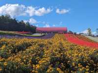 Shikisai Hill