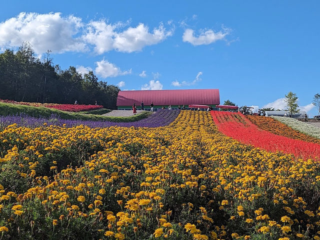 Shikisai Hill