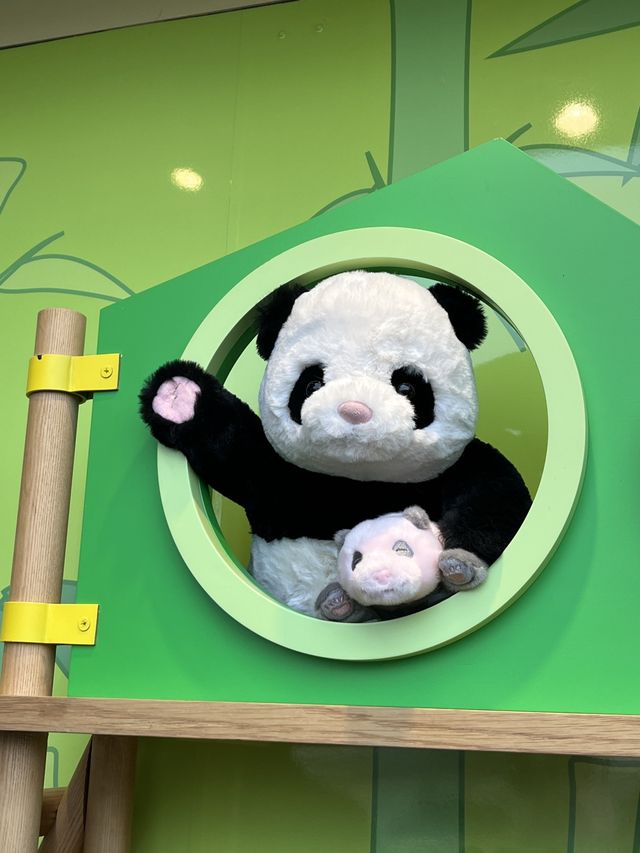 귀여운 판다🐼가 가득있는 용인 에버랜드에서 추억 잔뜩🎡