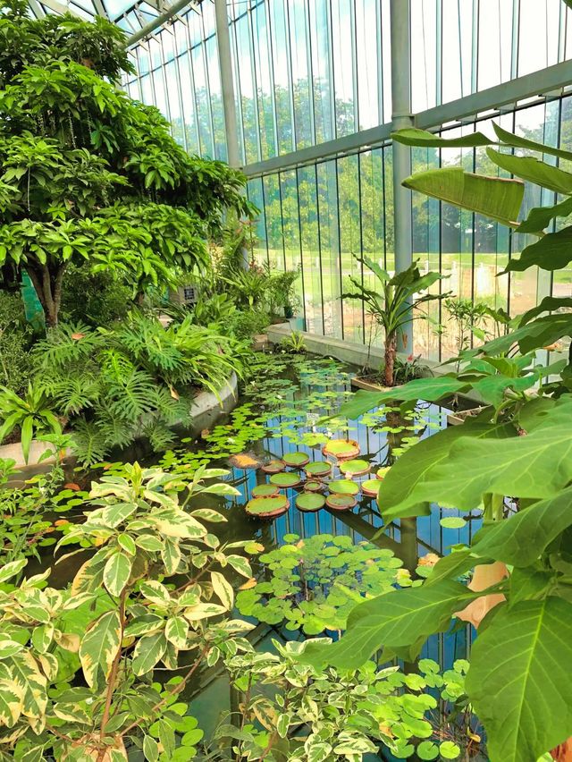 【東京】新宿×のんびり癒しスポット🌳🍃🌱