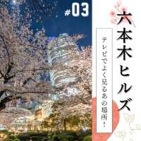 🌸必見！都内の夜桜攻略！🌸