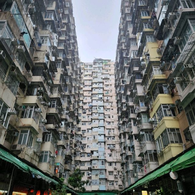 화려한 야경과 작은 유럽, 로컬을 모두 즐길 수 있는 홍콩, 마카오!