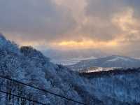 Winter wonders at Zao, Snow Monster