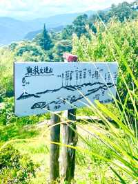 【寶登山神社/埼玉県】寶登山山頂にある存在感放つ聖地