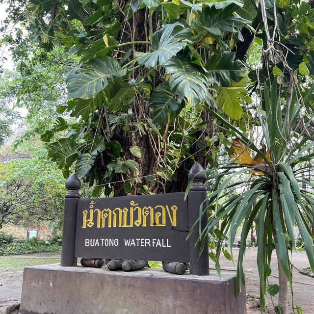 The mysterious Sticky waterfalls of Thailand 