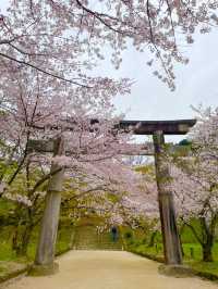 【太宰府市】桜、紅葉、新緑と季節を楽しめる神社