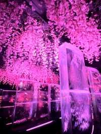 【銀座】春気分を味わうならココ🌸！アートアクアリウム美術館