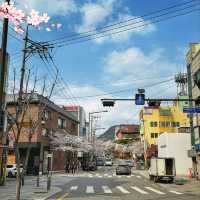 西村美食街：口碑餐廳，排隊食ramen