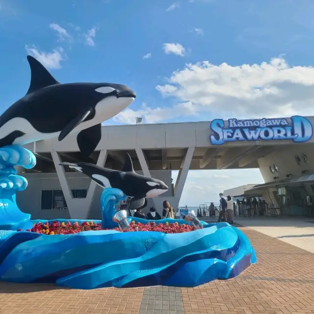 【千葉県】間近で触れ合える水族館⭐鴨川シーワールド⭐