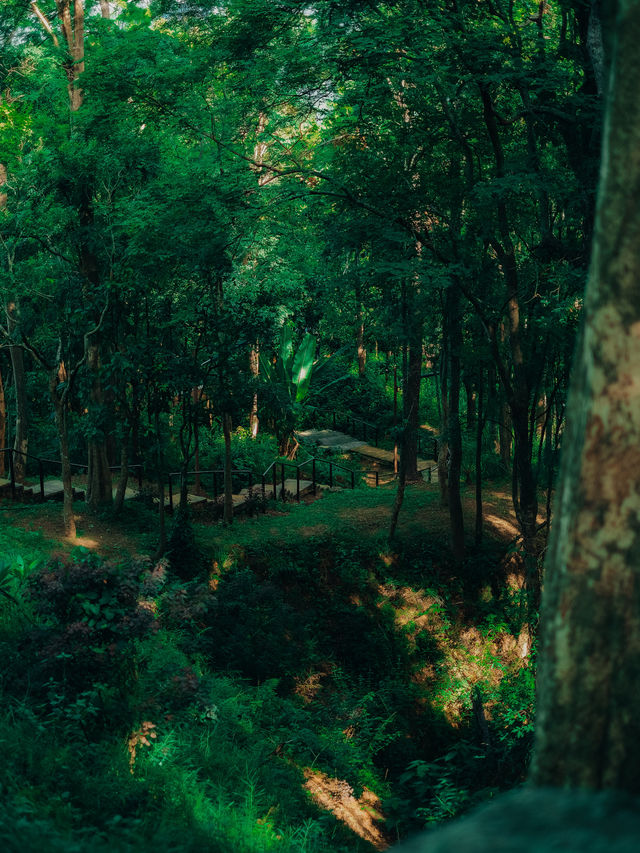พิชิตดอยขุนตาล แบบละเอียดยิบบ 🚂⛰️