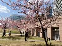 日本丸紀念公園@櫻木町