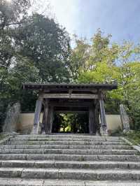 【山口観光】城下町長府の季節を感じられる歴史的寺院