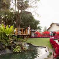 Diamond in the Garden -  Udonthani