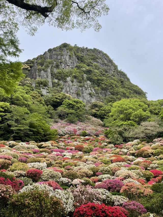 Mifuneyama Rakuen, Takeo, Saga, Japan