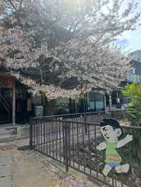 【春旅】桜香る有馬をお散歩♪